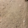 Morteros Autonivelantes