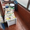 Poner Parquet o Tarima Vivienda (Parcial)
