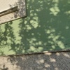 Pintar Exterior Casa (Unifamiliar)