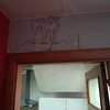 Arreglar Goteras