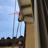 Instalar o Cambiar Campana Extractora