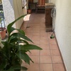 Poner Parquet o Tarima Vivienda (Parcial)