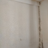 Pintar Interior De Vivienda