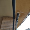 Instalar Toldo Vivienda