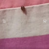 Fumigación o Desinsectación