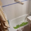 Cambiar Bañera Por Ducha
