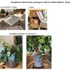 Mudanza Vivienda