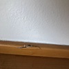 Otros Trabajos De Parquet