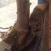 Otros Trabajos De Jardinería