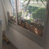 Trabajos varios de albañilería (o reforma)