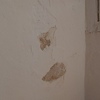 Pintar Interior De Vivienda