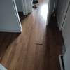 Poner Parquet o Tarima Vivienda (Completa)