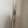 Arreglar Humedades