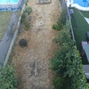 Desbrozar Jardín