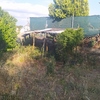 Desbrozar Jardín