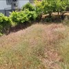 Otros Trabajos De Jardinería
