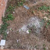 Desbrozar Jardín