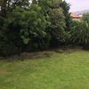 Mantener Jardín