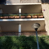 Instalar Ascensor en Edificio