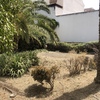 Construir Piscina Hormigón