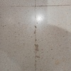 Pulir Suelo Vivienda (Completa)