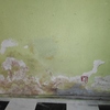 Proyecto y Reforma Vivienda