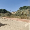 Desbrozar Jardín
