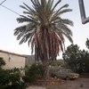 Otros Trabajos De Jardinería
