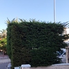 Otros Trabajos De Jardinería