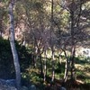 Movimiento de Tierras