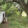 Desbrozar Jardín