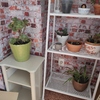 Mudanza Vivienda