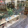 Cambiar cristales en puertas y ventanas