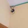 Revisar Instalación Eléctrica