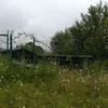 Desbrozar Jardín