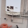 Instalar O Cambiar Calentador Gas