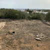 Ajardinar zona de unos 20x20 con plantas de pco riego