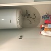 Instalar o Cambiar Termo Eléctrico