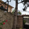 Talar árboles