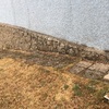 Trabajos varios de albañilería (o reforma)