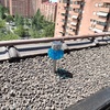 Otros Trabajos De Jardinería