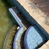 Limpieza puntual de piscina