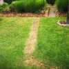 Plantar Cesped