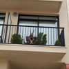Instalar Toldo Vivienda