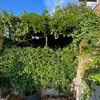 Otros Trabajos De Jardinería