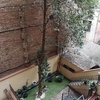 Otros Trabajos De Jardinería