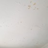 Otros Trabajos De Pintura