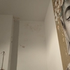 Otros Trabajos De Pintura