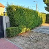 Otros Trabajos De Jardinería