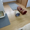 Poner Parquet o Tarima Vivienda (Completa)